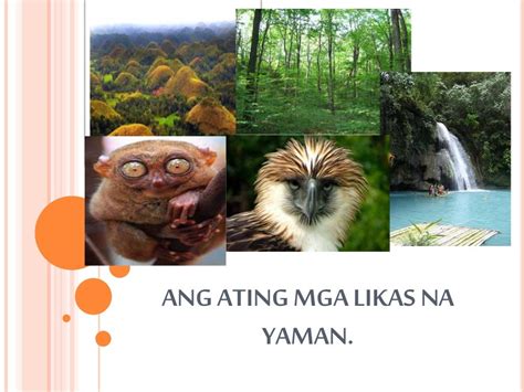 LIKAS NA YAMAN .